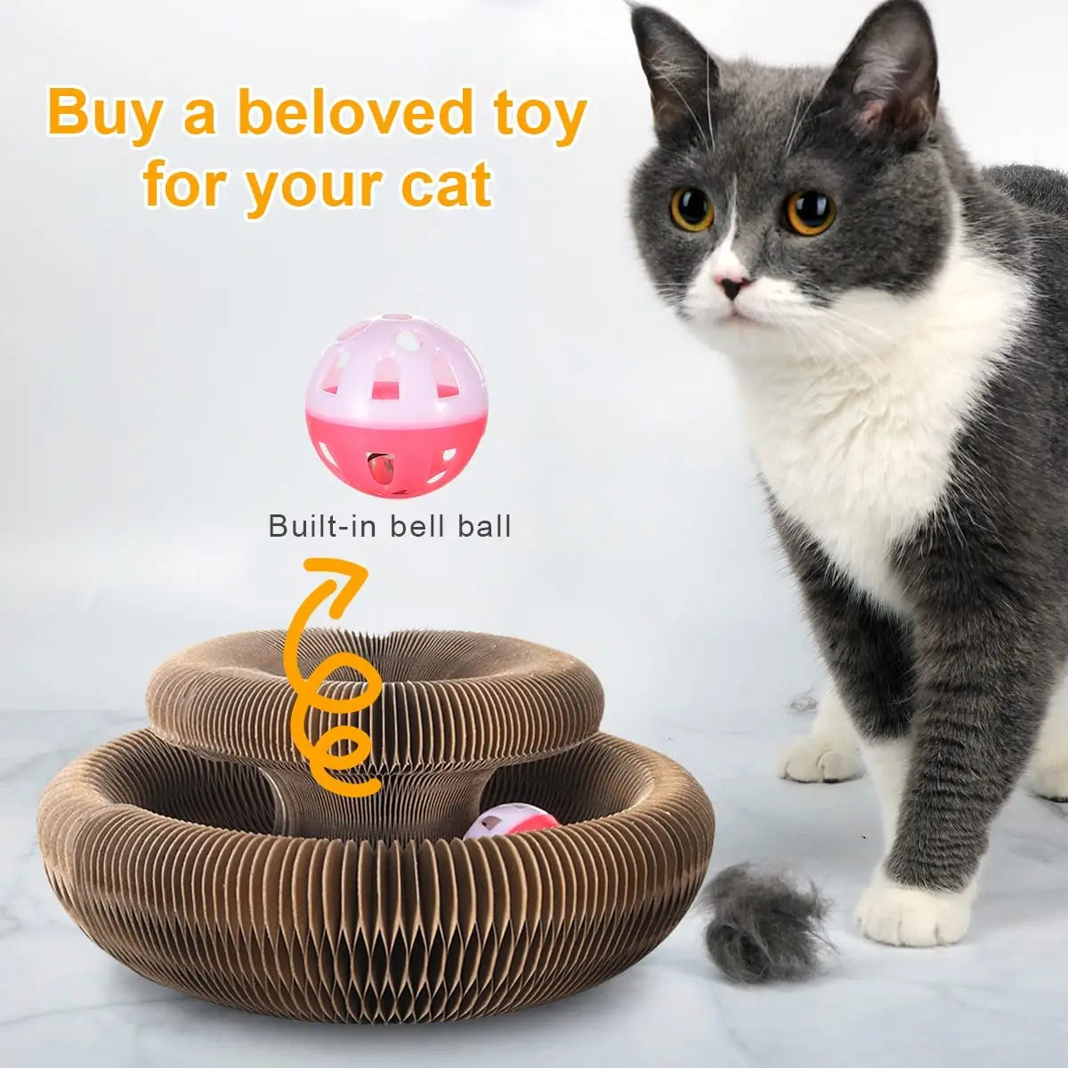 Magic Cat Scratch Toy