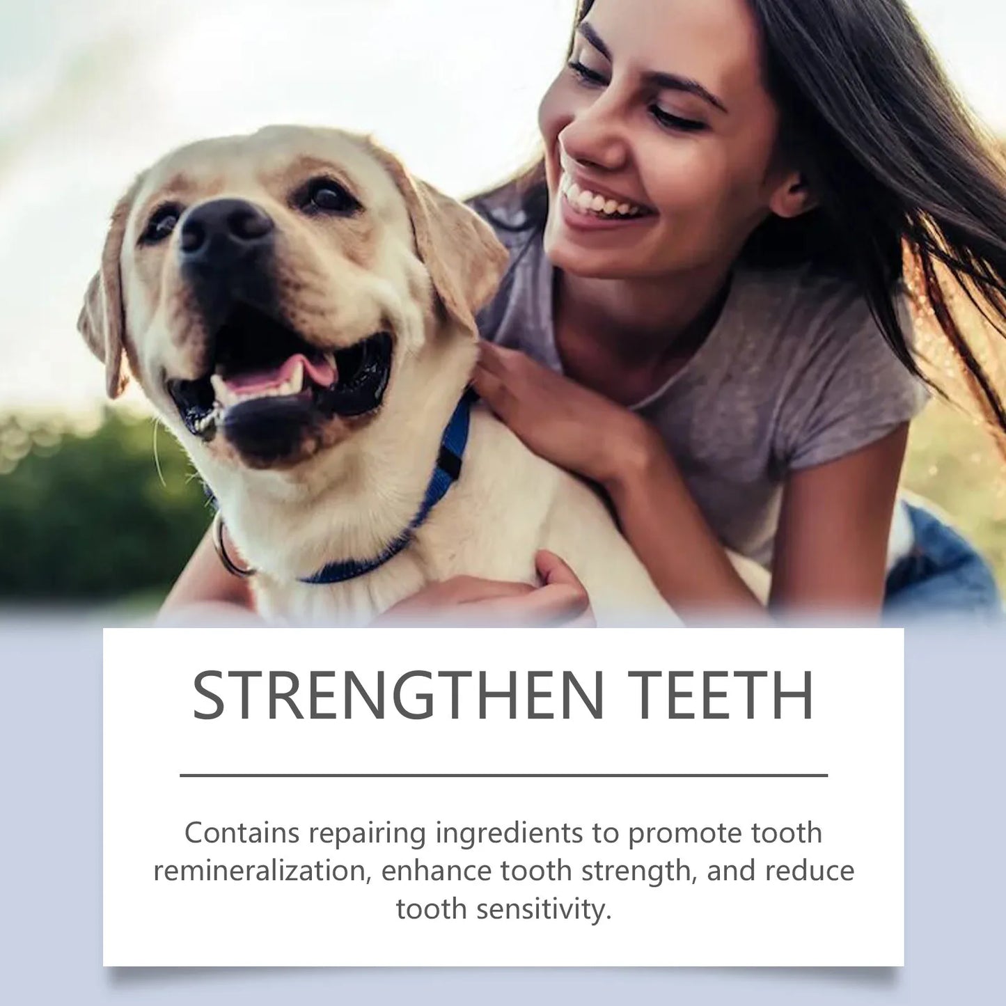 Pet Teeth Whitening Pen