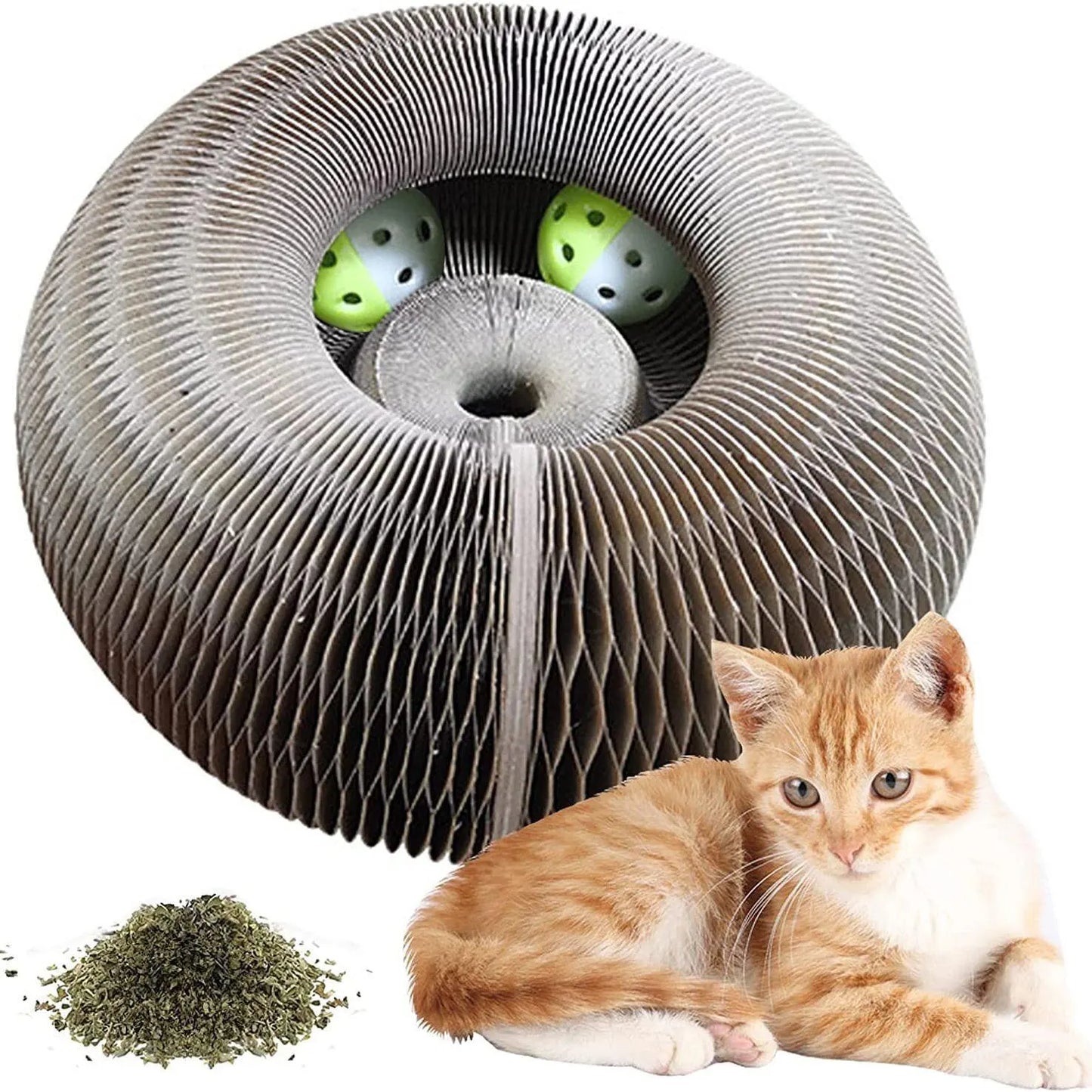 Magic Cat Scratch Toy