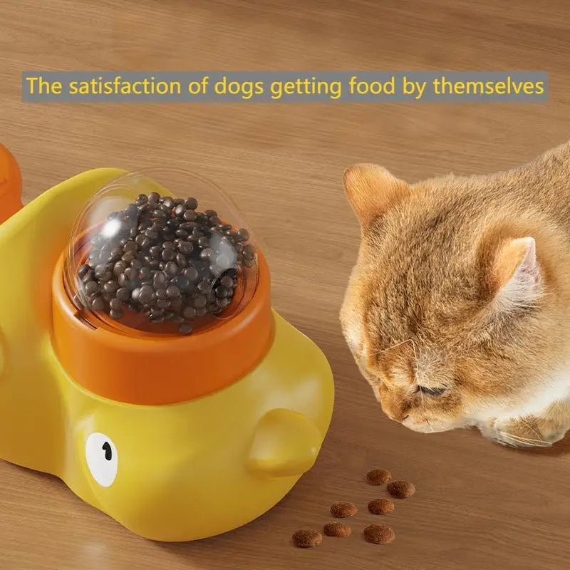 Interactive Pet Learning Toy