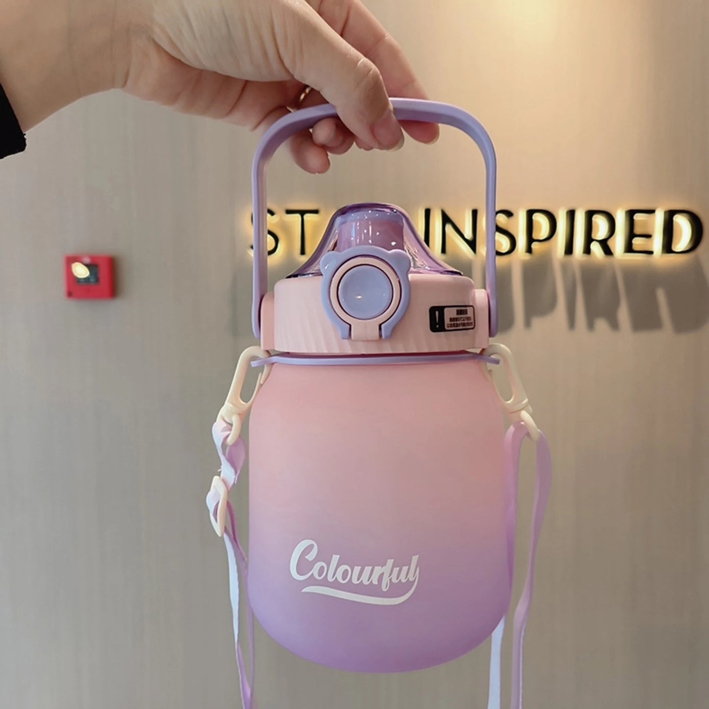 Gradient Water Bottle