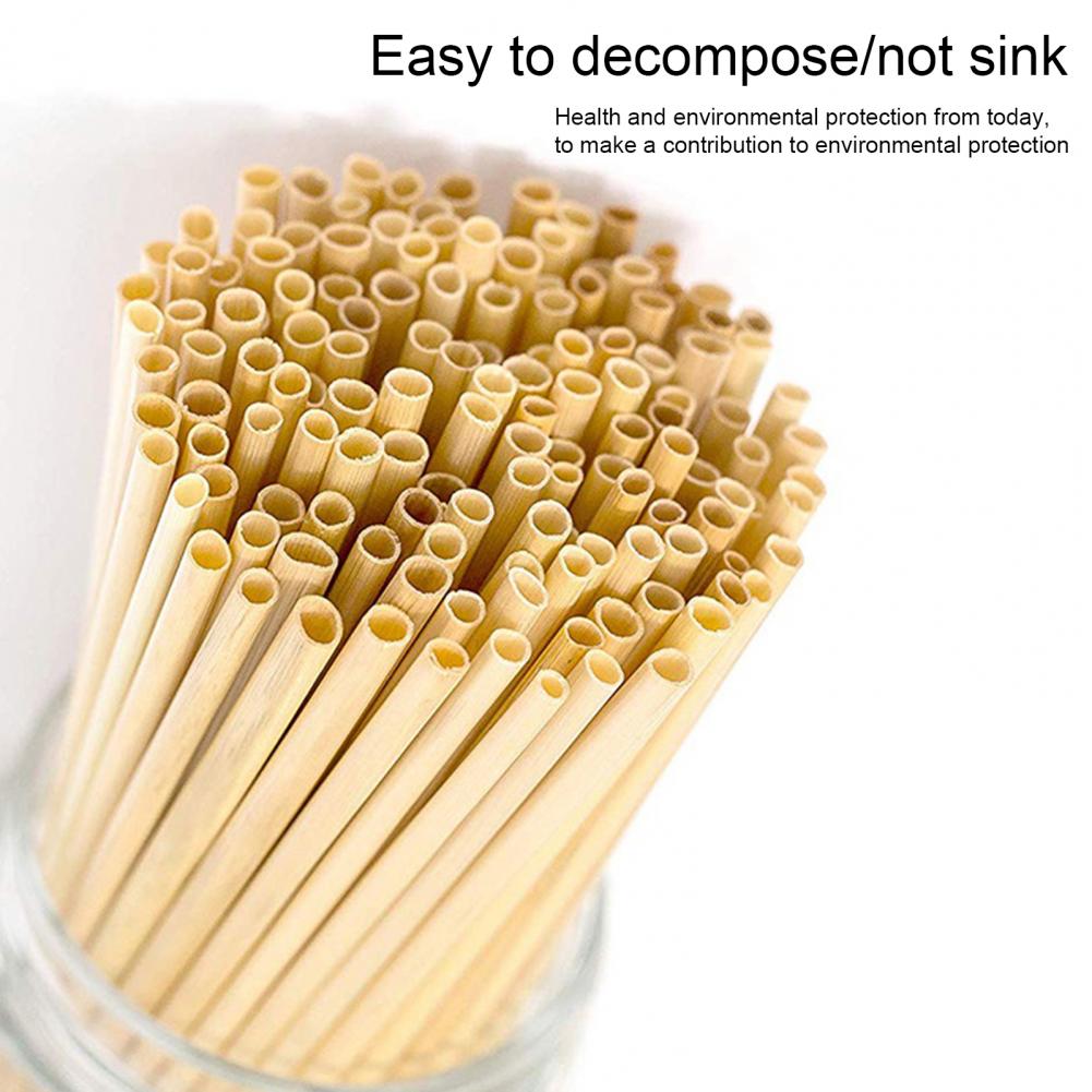Reusable Bamboo Drink Straws