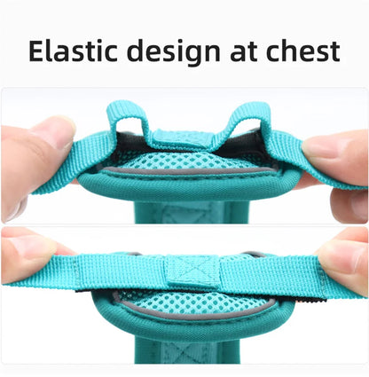 Breathable Mesh Pet Harness