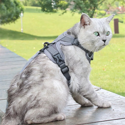 Breathable Mesh Pet Harness
