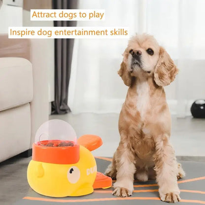 Interactive Pet Learning Toy