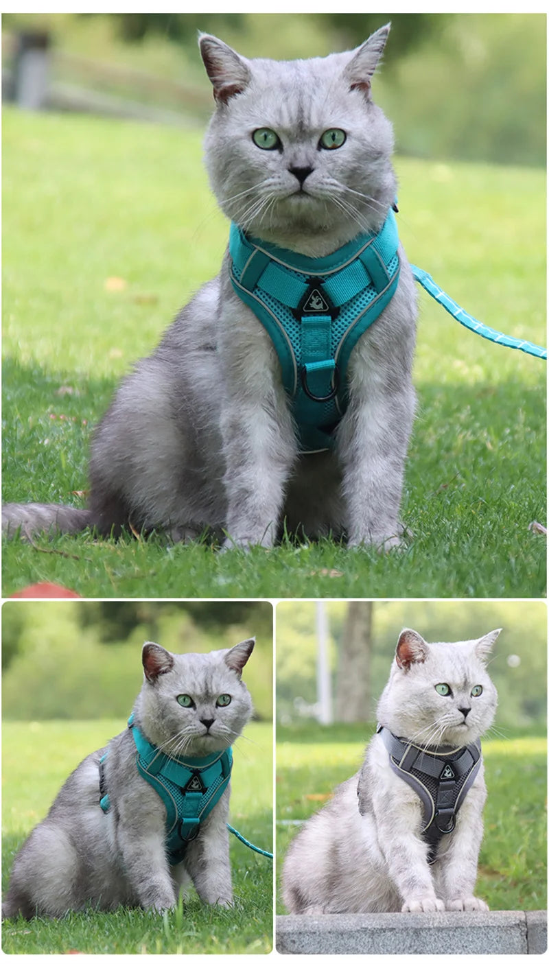 Breathable Mesh Pet Harness