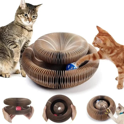 Magic Cat Scratch Toy