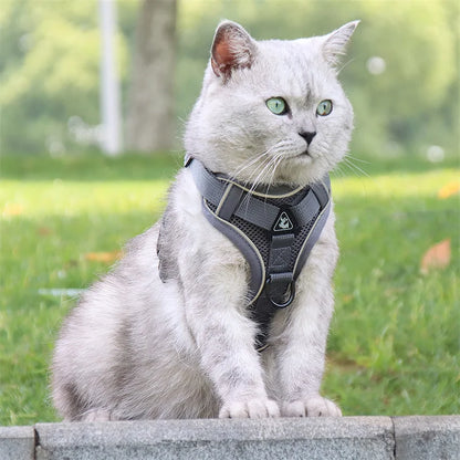 Breathable Mesh Pet Harness