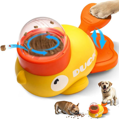 Interactive Pet Learning Toy