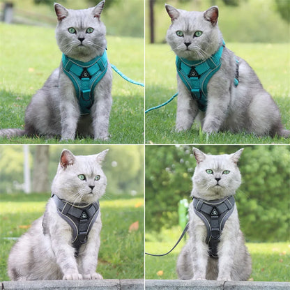 Breathable Mesh Pet Harness