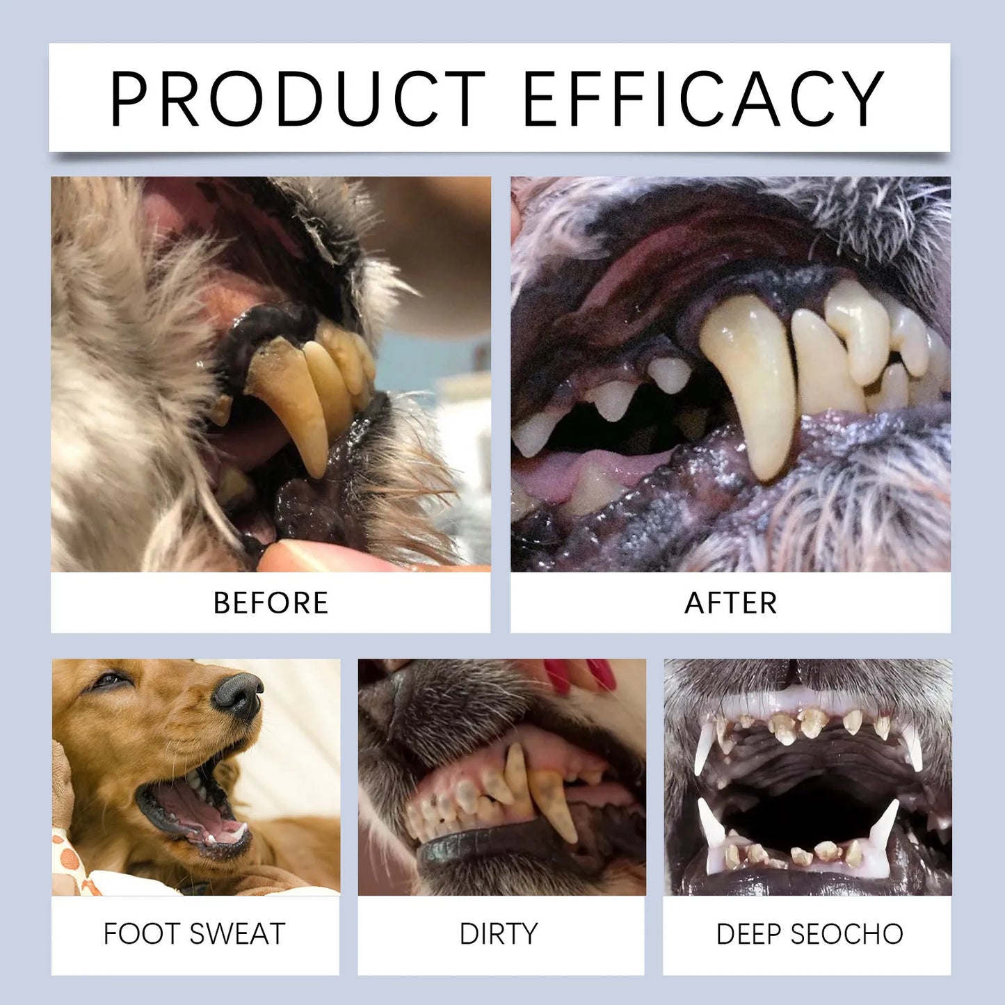 Pet Teeth Whitening Pen