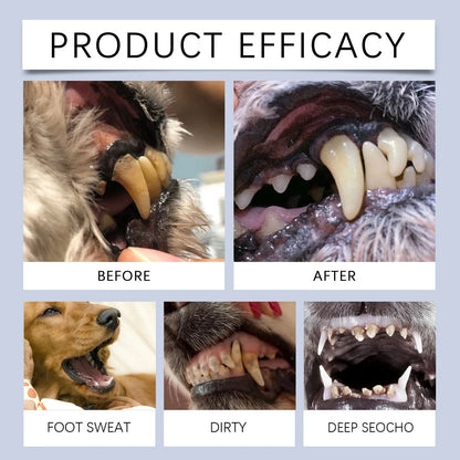 Pet Teeth Whitening Pen