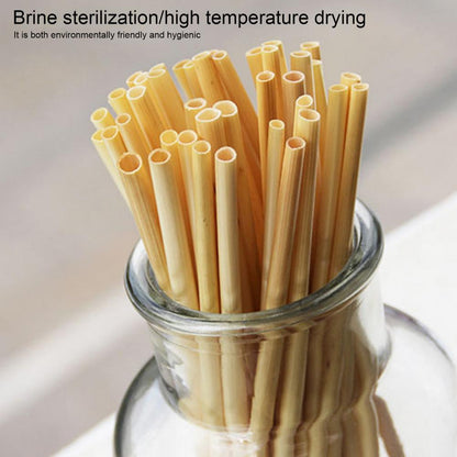 Reusable Bamboo Drink Straws