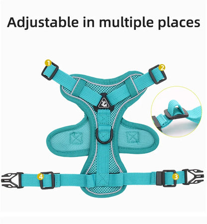 Breathable Mesh Pet Harness