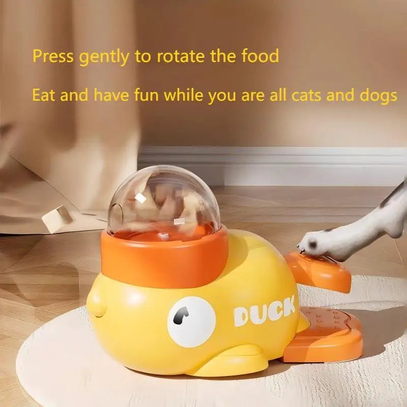 Interactive Pet Learning Toy