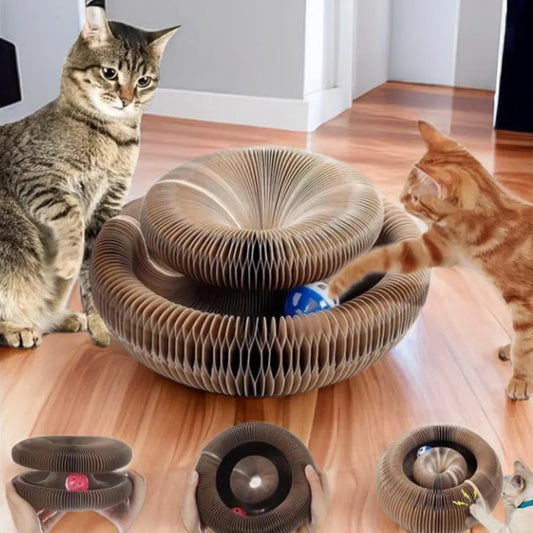 Magic Cat Scratch Toy
