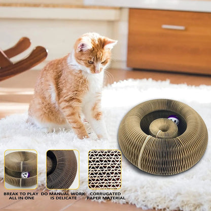 Magic Cat Scratch Toy