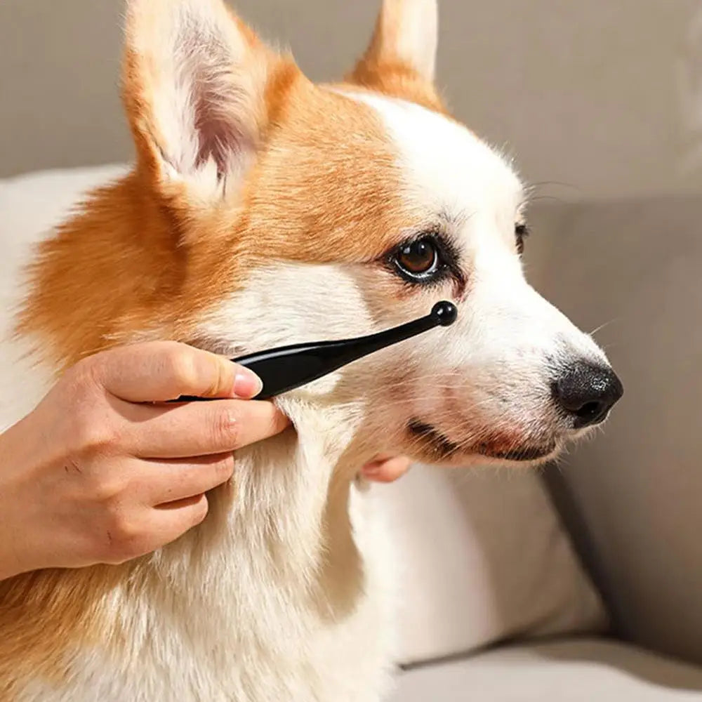 Eye Cleaning Brush Tool